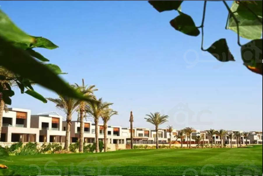 Aloha New Mansoura