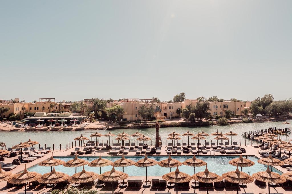 cook's club el gouna