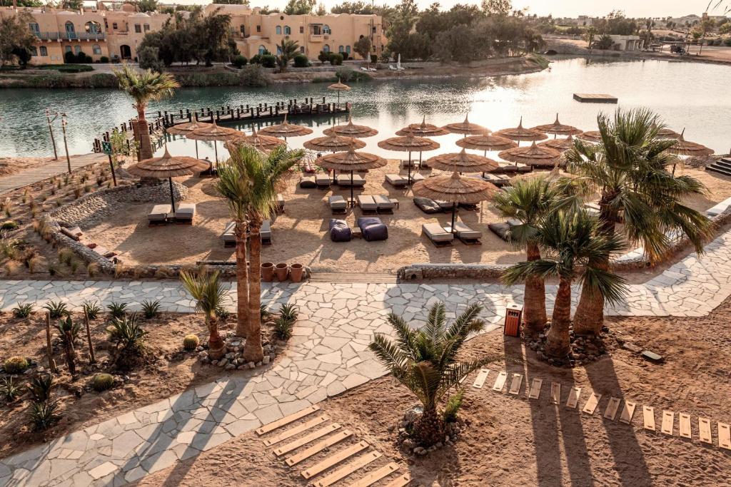 cook's club el gouna