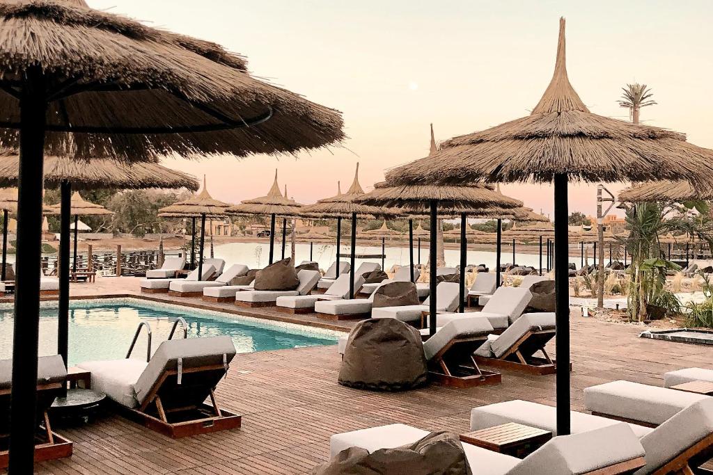 cook's club el gouna
