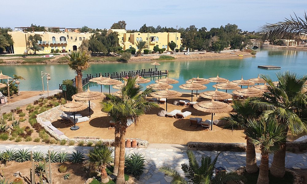 cook's club el gouna