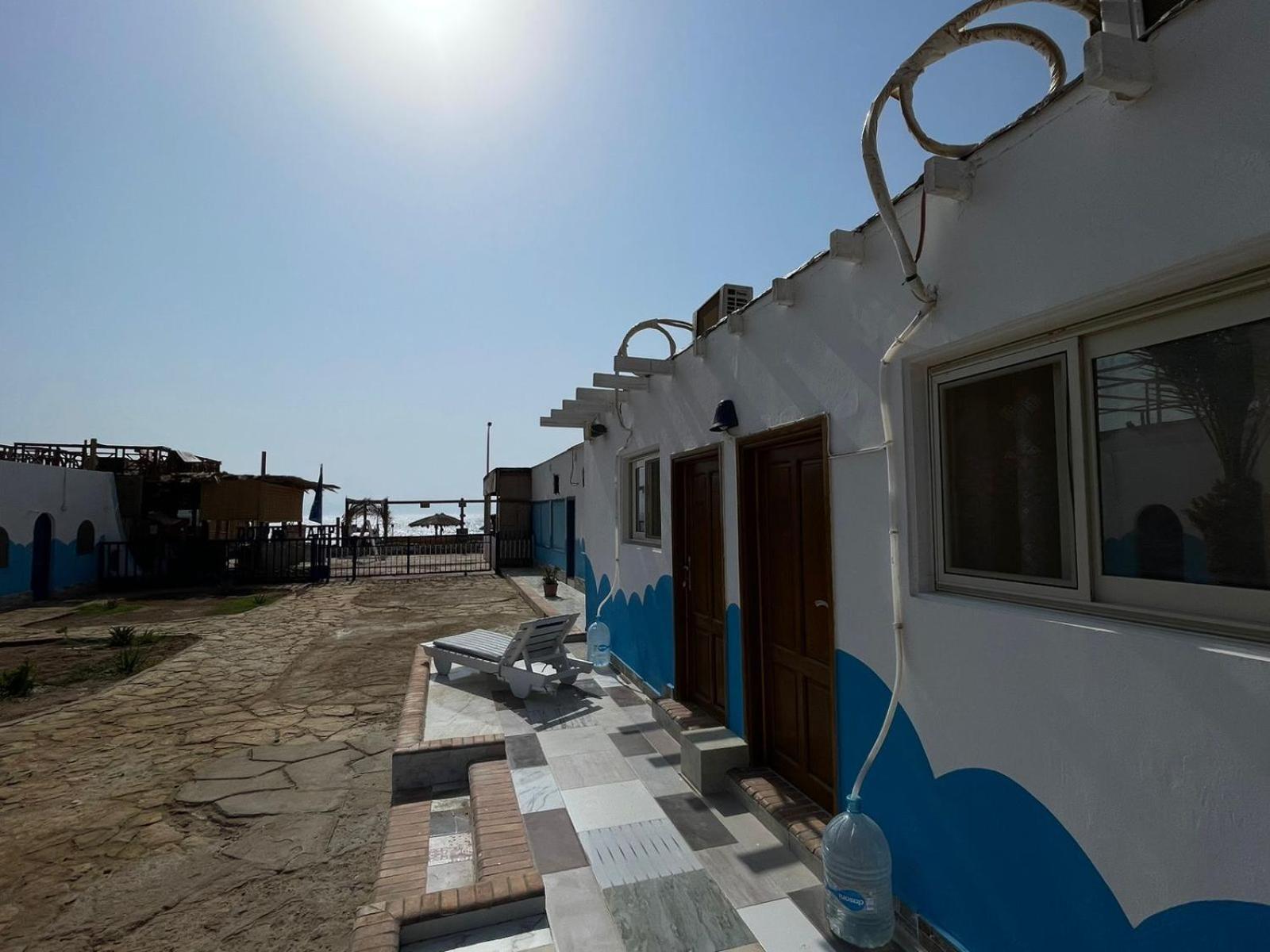 Dolphin Camp & Diving, Egypt