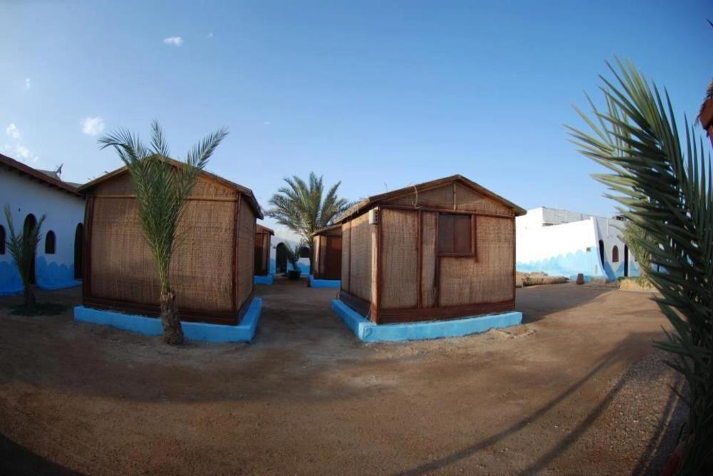 Dolphin Camp & Diving, Egypt