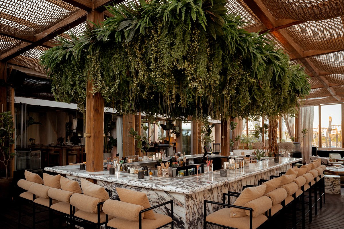 Lemon Tree & Co., New Cairo City, Egypt