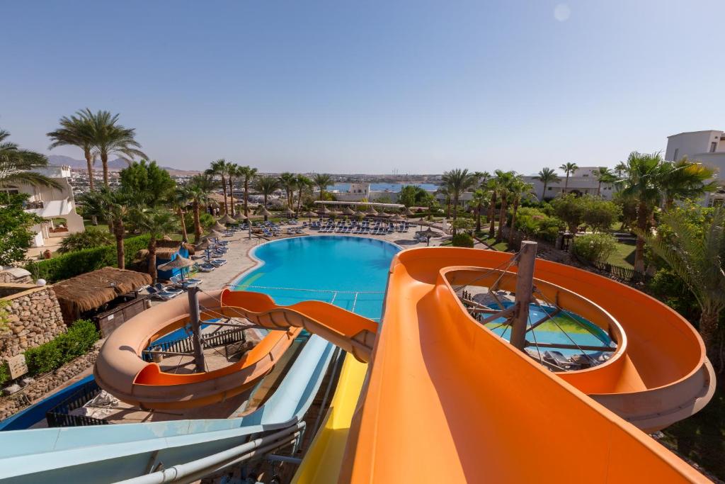 Naama Tropitel, Egypt