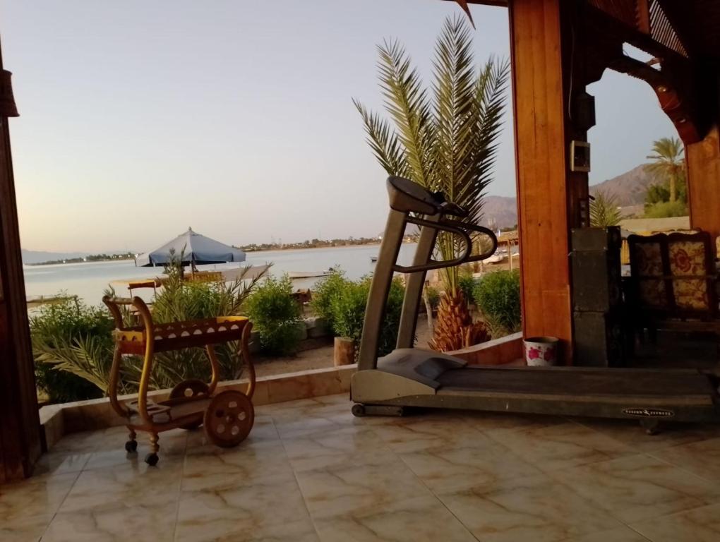 معسكر السرايا الجديد