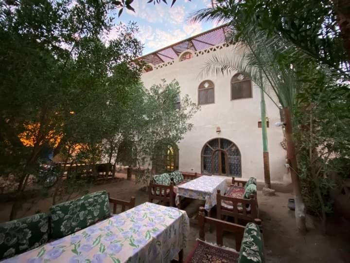 Nour El Balad, Egypt