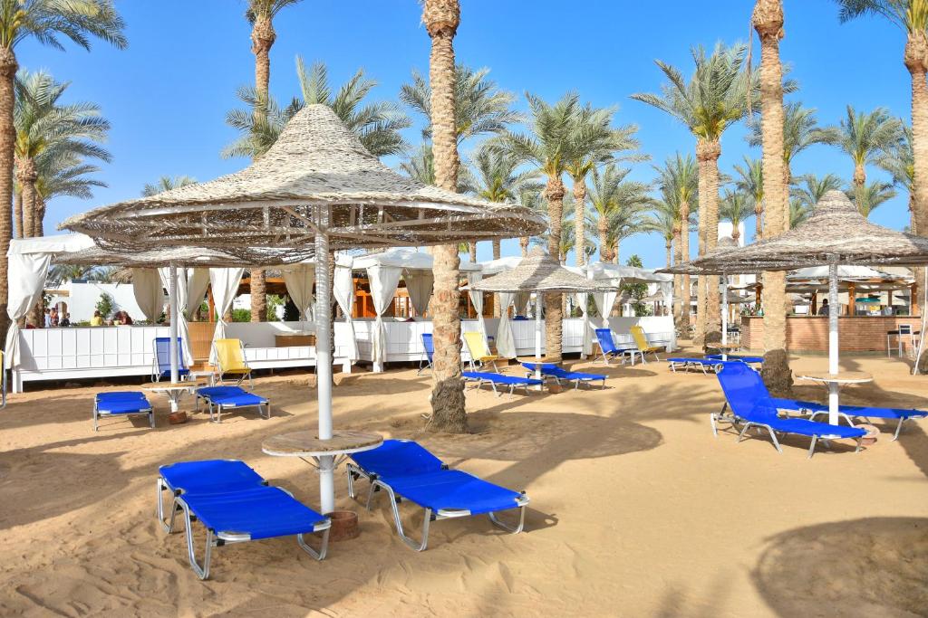 Seti Sharm Palm Beach Resort 1