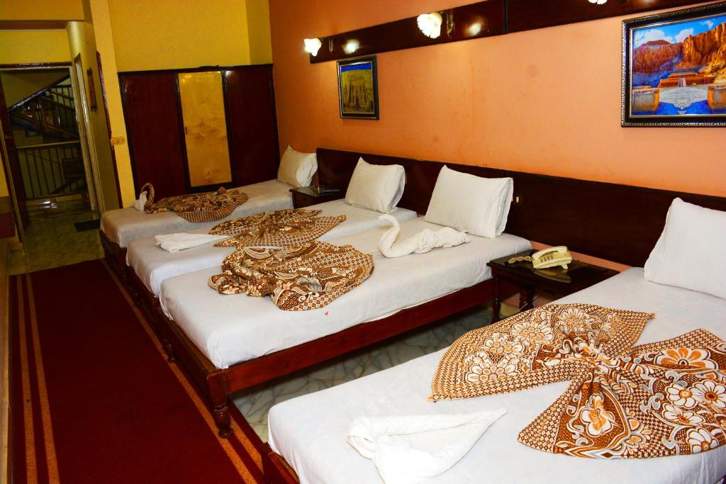 Shady Hotel Luxor, Egypt