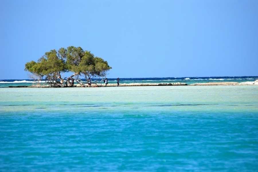 Sharm El Luli, Marsa Alam, Egypt 