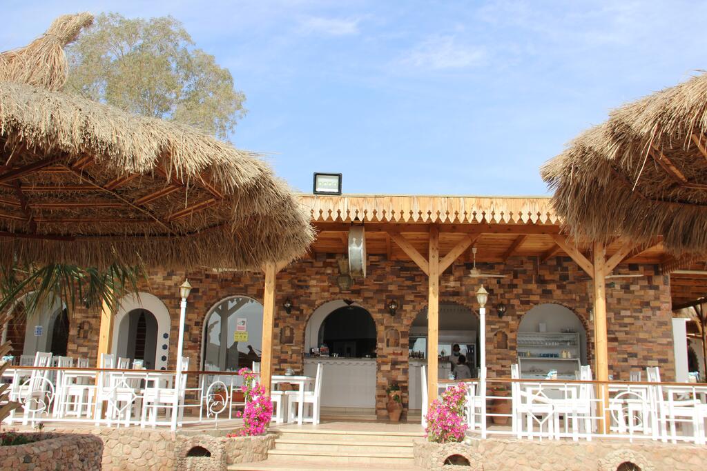 نادي صن شاين دايفرز