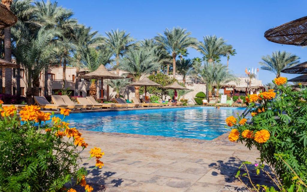 شاطئ تمارا