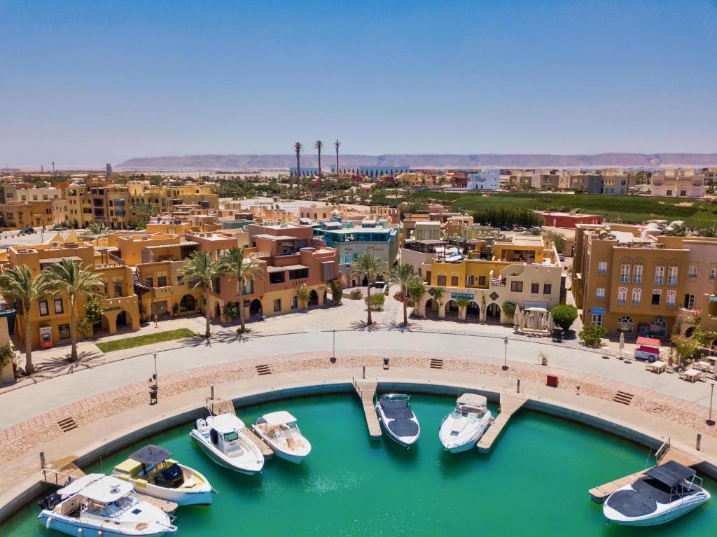 ترتلز إن