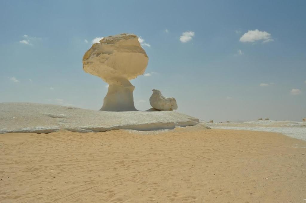 badry sahara camp