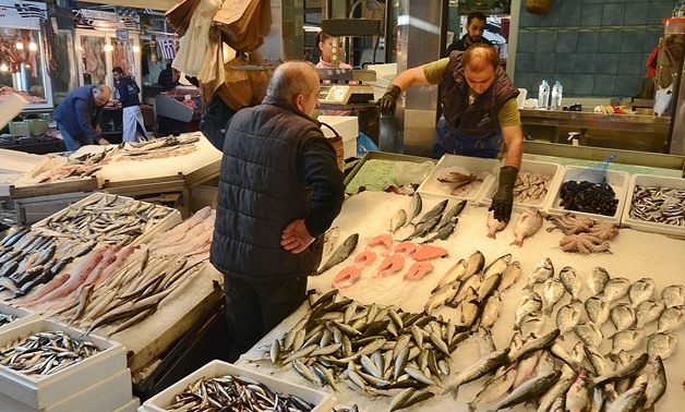 مطعم Fish Market الجيزة: دليل المأكولات البحرية الطازجة المحلية