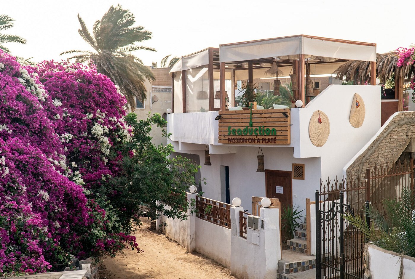 seaduction dahab, dahab, egypt 