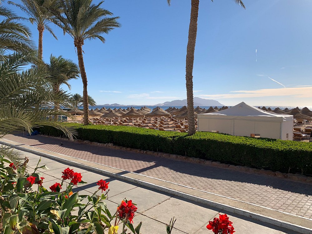 Baron Restaurant and Café - Hurghada, Egypt