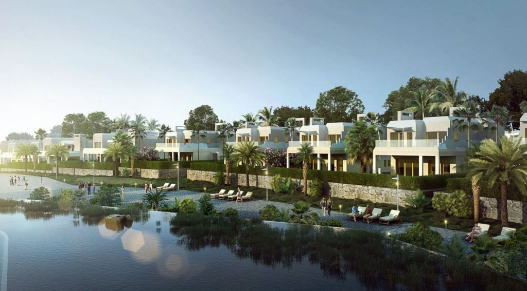 جيفيرا رأس الحكمة