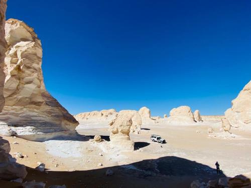 فندق رحالة سفاري