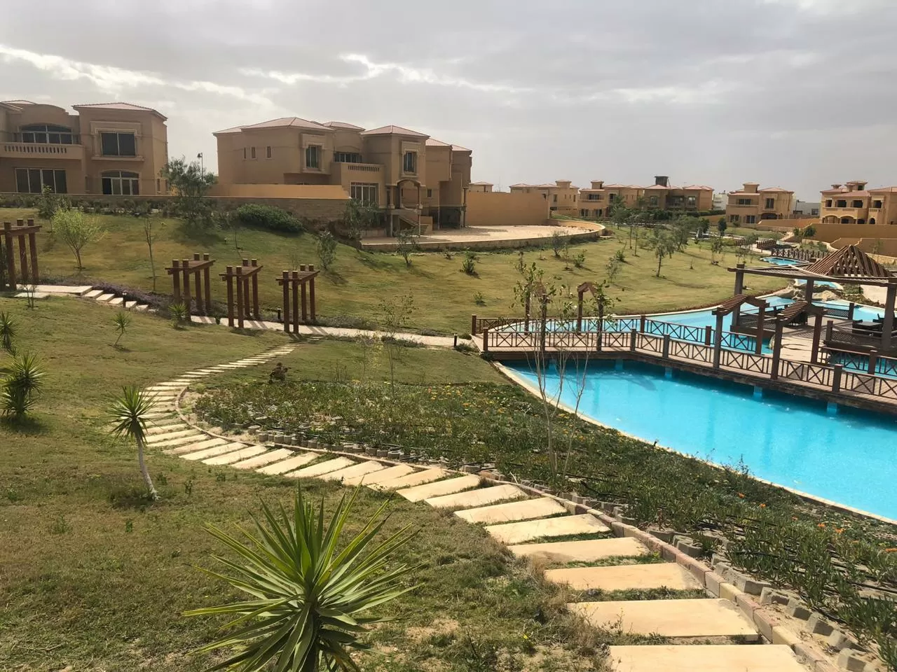 رويال ميدوز