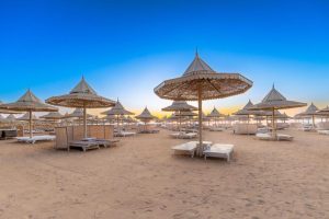 The Grand Resort 2
