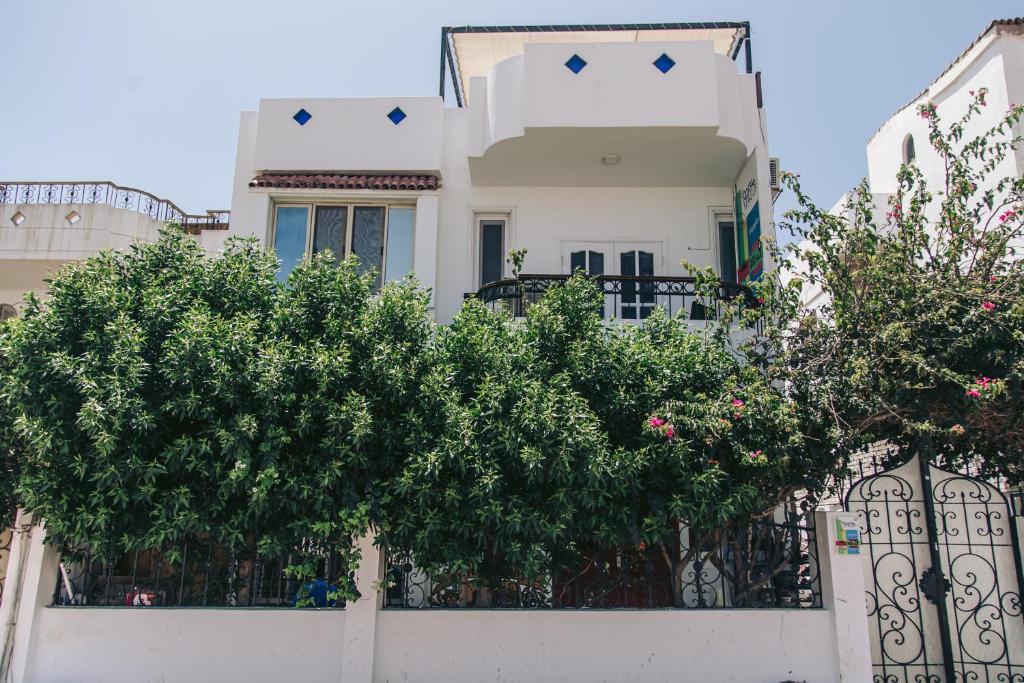Rafiki Hostels