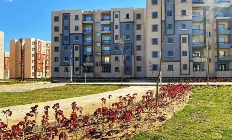 Housing: Social Housing Apartment Results 2025/1446