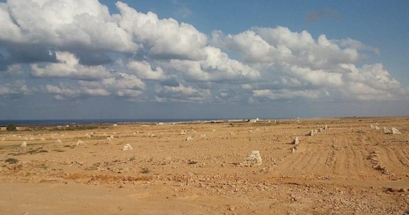 Cabinet Approves 72 Requests for Allocating Land to Companies for Sale in US Dollars from Abroad