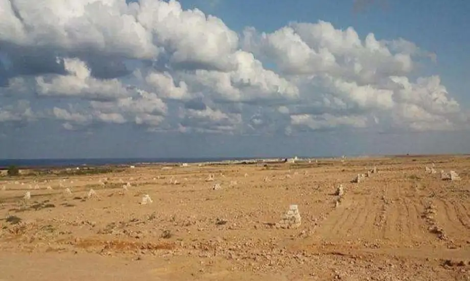 Housing Ministry Offers Land for Recreational Use under Usufruct System in New Akhmim