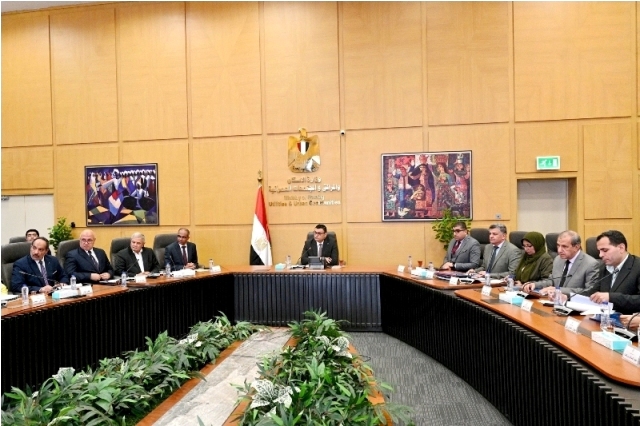Implementation Status of the Presidential Initiative Decent Life Projects in Aswan and Beni Suef Governorates