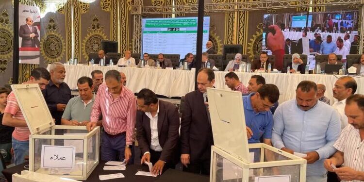 Allocation of 650 Land Plots to Citizens Who Settled Their Status in Al Rabya Area, Shorouk City