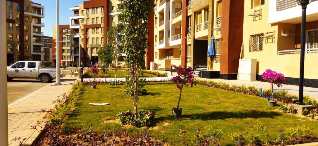 Offering a Plot of Land for School Activity in the Green Belt, 6th of October City