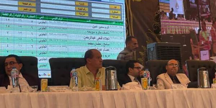 Allocation of 300 Land Plots for Citizens Who Settled Their Status in Al-Rabya, El Shorouk City