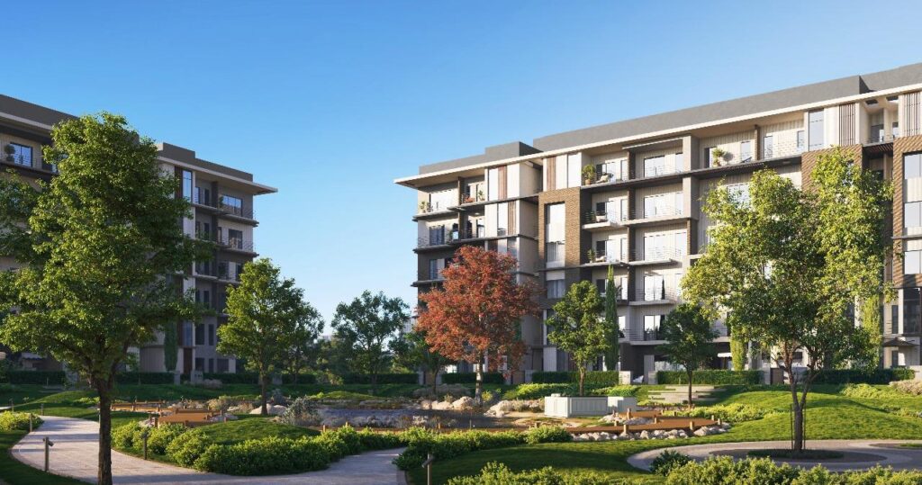 BEGONIA, New Cairo, Egypt