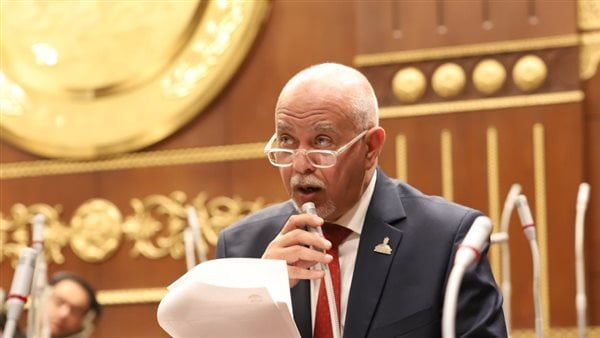 MP Hazem El-Gendy: President El-Sisi's Participation in the NEPAD Summit Confirms Egypt's Continental Leadership