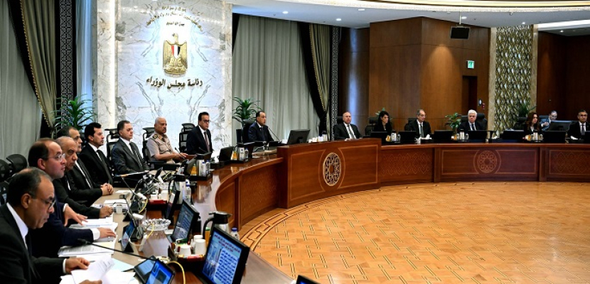 Government Approves New Regulations for Allocating and Pricing Industrial Land via Egypt’s Digital Industrial Platform