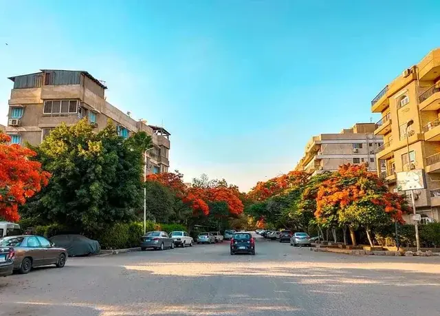 أين يفضل المغتربون العيش في مصر