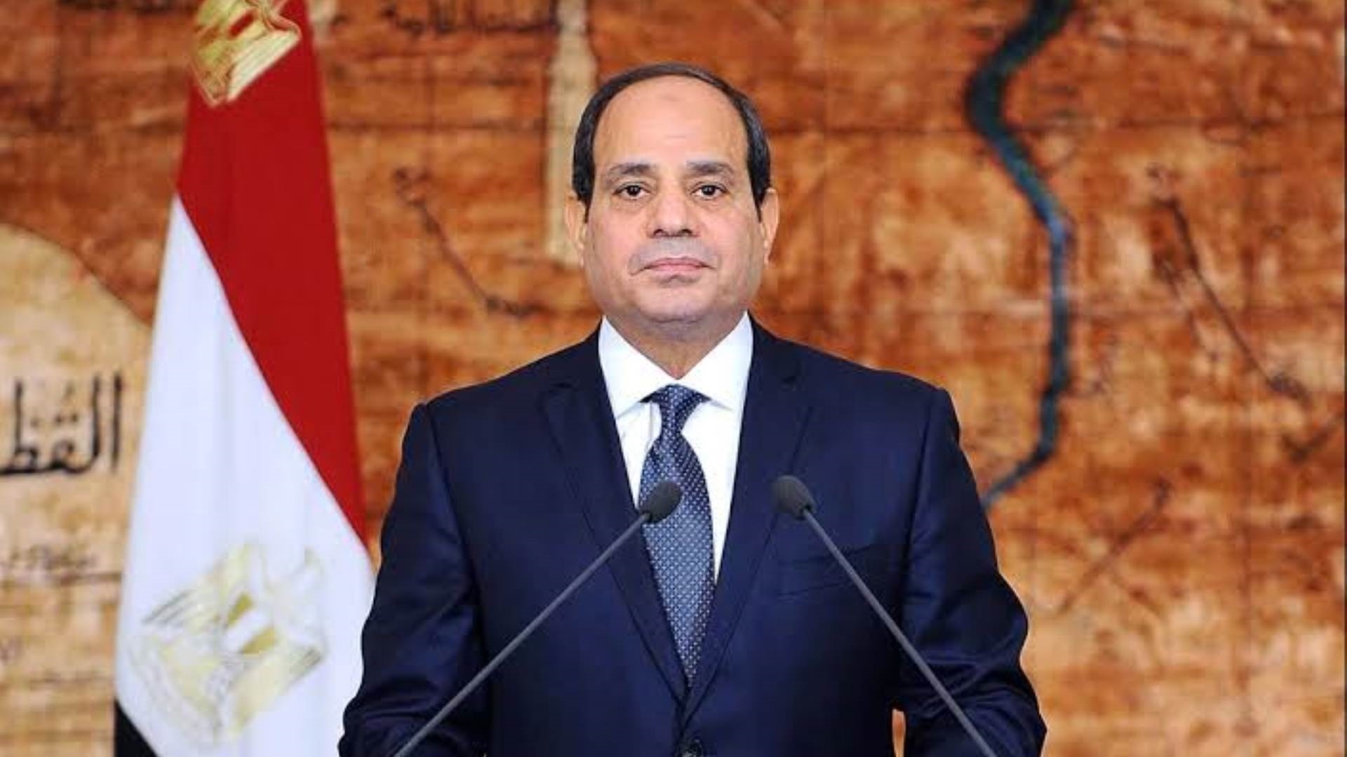 Sisi: My Position on Some Election Remarks Is a “Veto” on Certain Practices