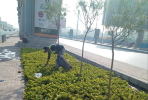 6th of October: City Continues Enhancing Green Spaces and Removing Encroachments to Maintain Its Urban Appeal